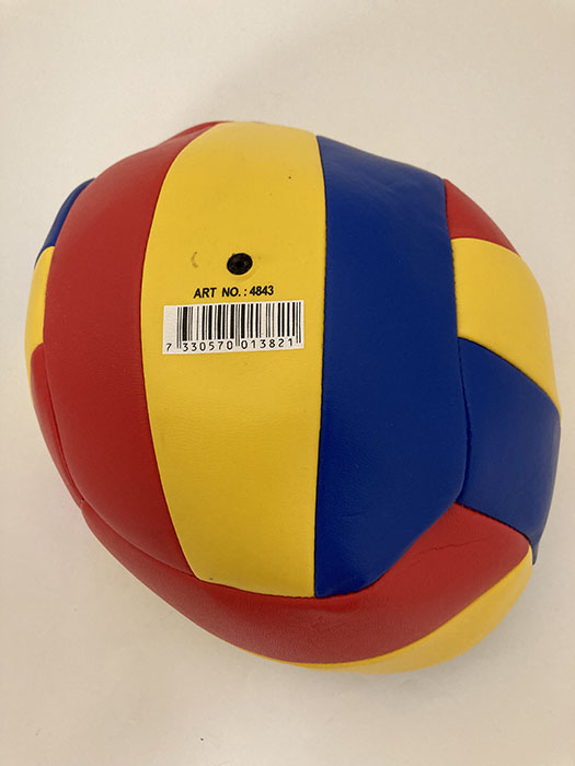 Volleyboll