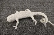 Seletti — CHAMELEON LAMP