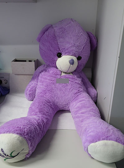 Purple Bear