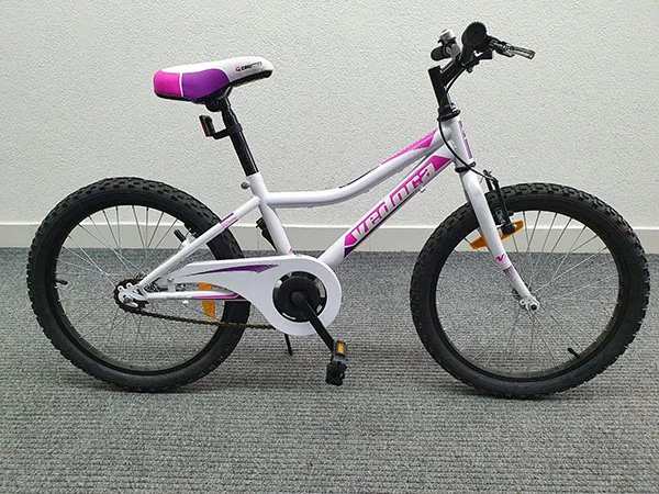 Vedora — Bicycle for young adult