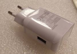 Adaptive Fast Charging