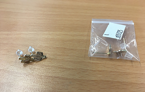 Earrings
