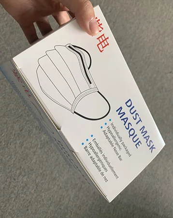 Particle filter mask