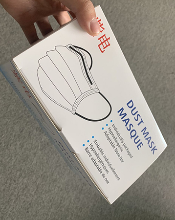 Particle filter mask