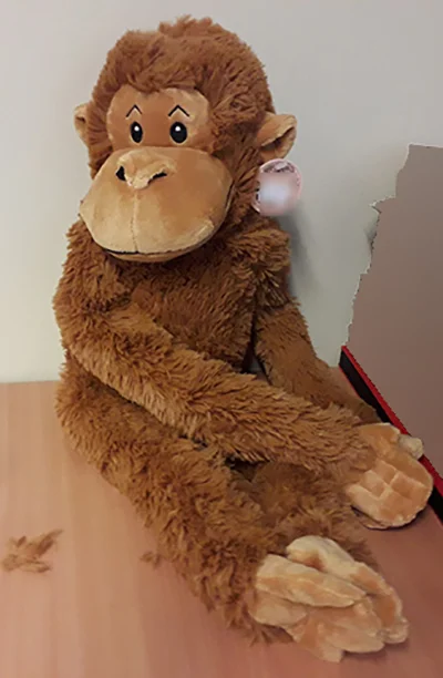 Soft toy