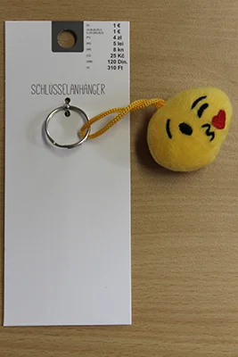 CEPEWA — Keychain