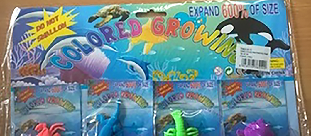 Jelly Growing Sea Life Creatures