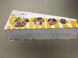 Folding Scooter