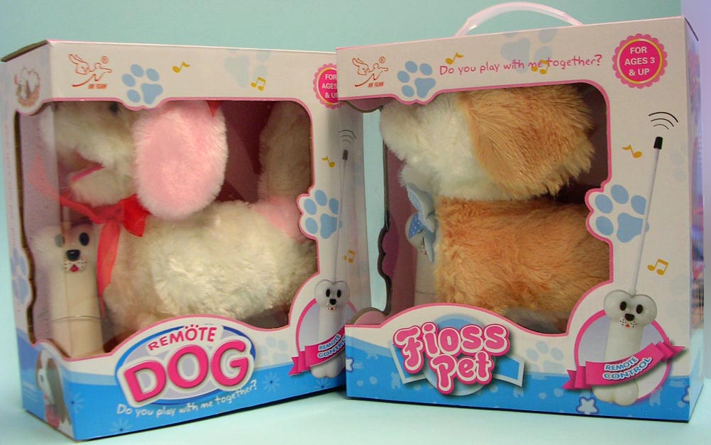 An Yuan — Remöte dog and Fioss pet