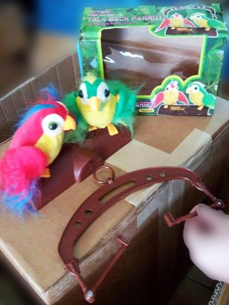 TALK BACK PARROT