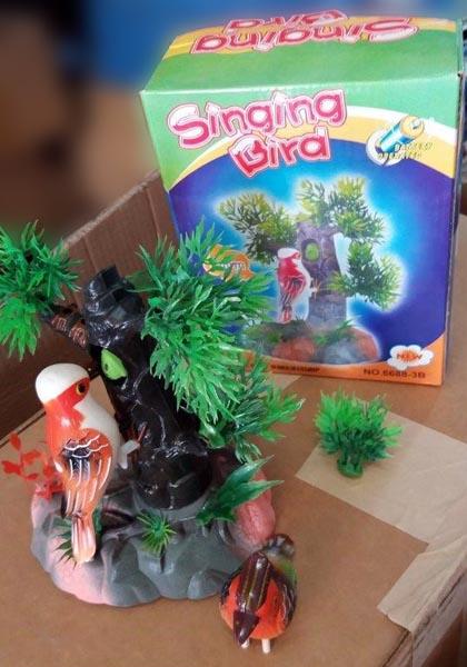 Singing Bird