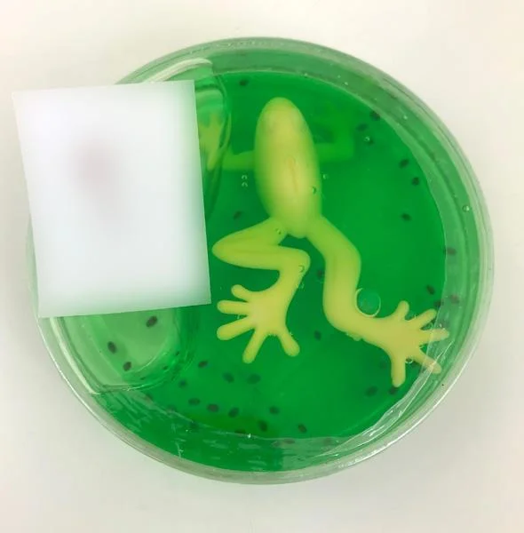 Green slime with frog