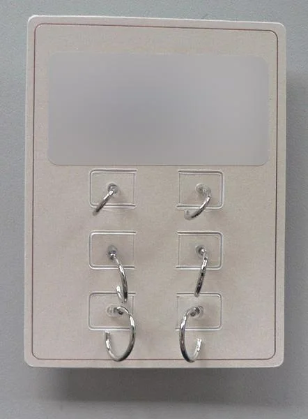 Earring set