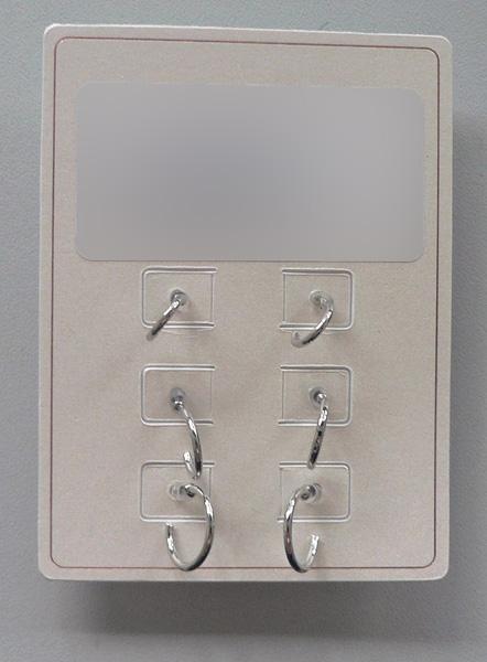 Earring set