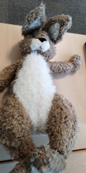Toy Sharing — Plush pillow