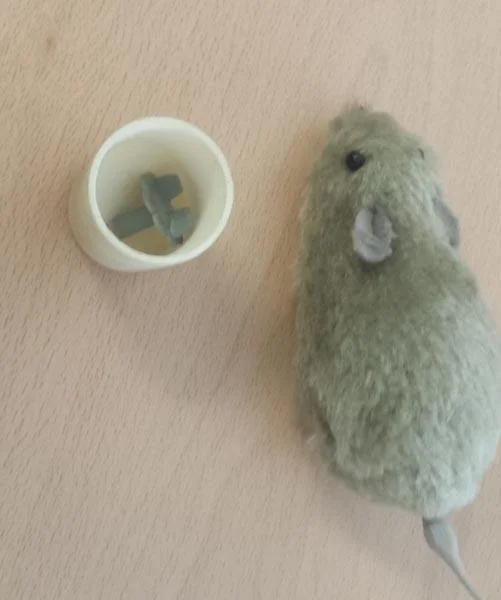 FORUM NOVELTIES — RUNNING MOUSE