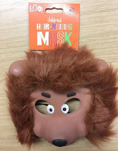 Childrens Hair-Raising Mask