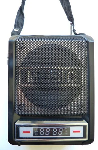 GOLDFULL — Portable FM Radio