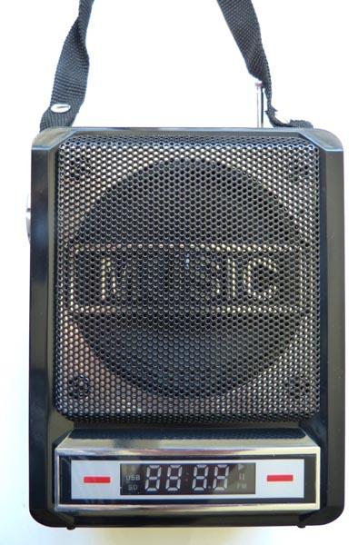 GOLDFULL — Portable FM Radio