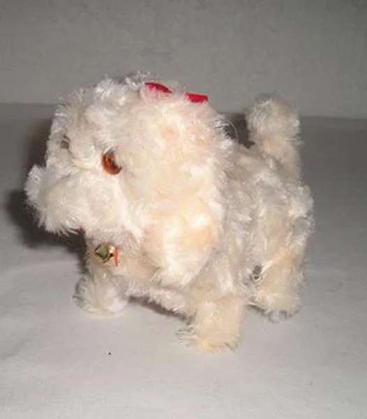 Pes ('Dog')