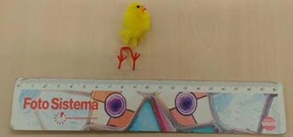 EASTER DECORATIONS