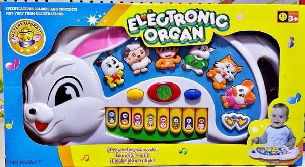 Electronic Organ