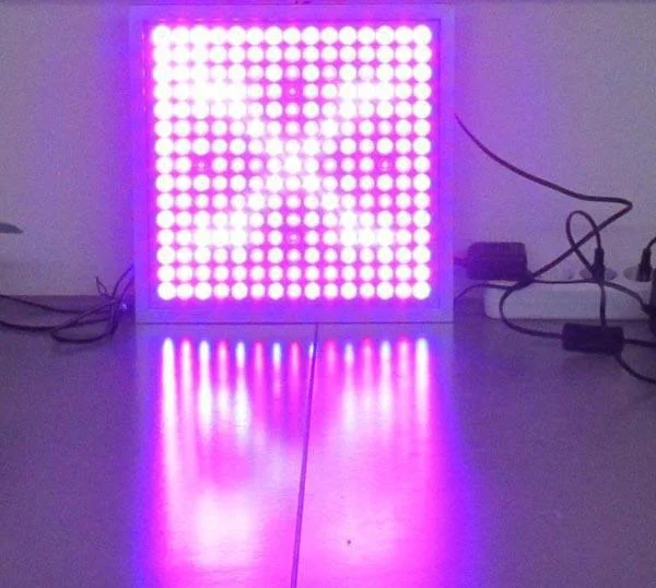 LED PLANT GROW LIGHT
