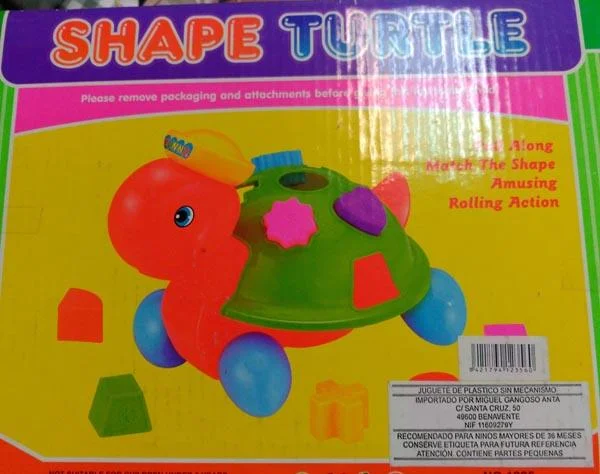 ZHONG TING — SHAPE TURTLE