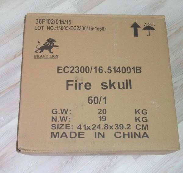ENIGMA — FIRE SKULL