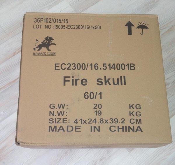 ENIGMA — FIRE SKULL