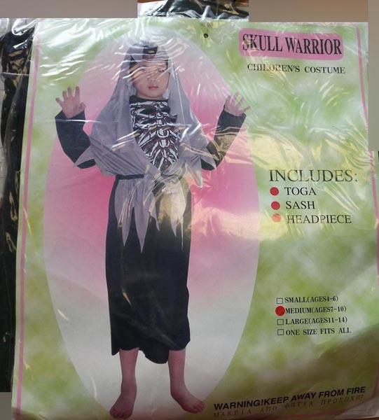 SKULL WARRIOR