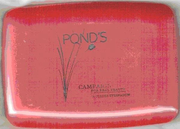 PQND'S — 18 COLORS EYESHADOW