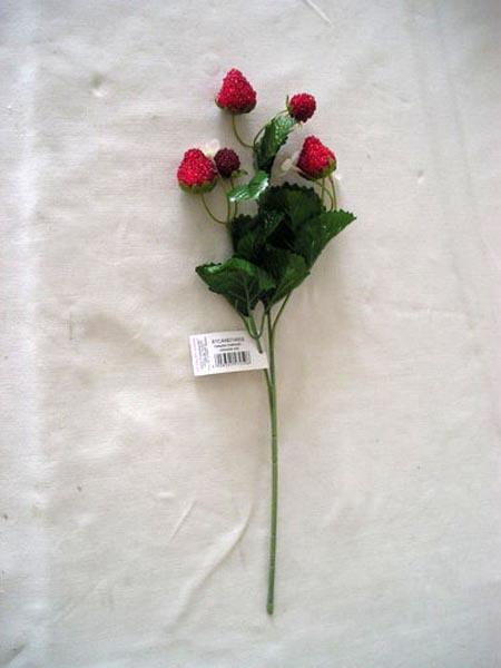 CANEA — Unknown