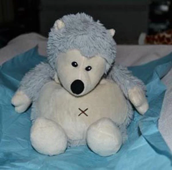 Intelex — 'Junior' and 'Cozy' hedgehog