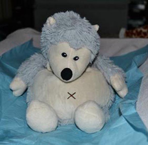 Intelex — 'Junior' and 'Cozy' hedgehog