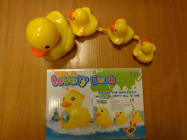 Lovely Duck