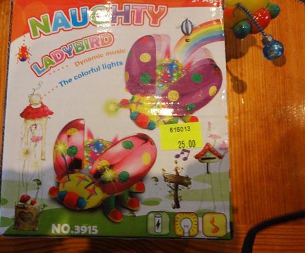Naughty Ladybird
