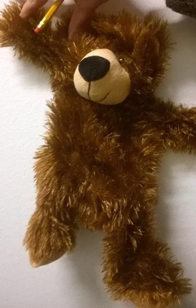 My Pawfect Bear — Gift from Santa