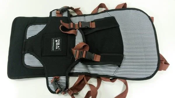 Paibi Bear — Cooler Convertible Baby Car Seat