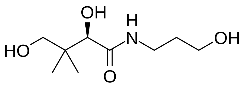 Pantothen Pharmaselect 5 % - Salbe (Salbe)