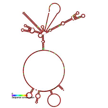 VAQTA 50 E/1 ml Injektionssuspension in einer Fertigspritze 50 U/ml (Injektionssuspension in einer Fertigspritze)