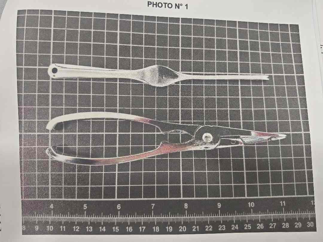 pas de marque — pinces à crustacés métalliques et fourchettes à crustacés métalliques
