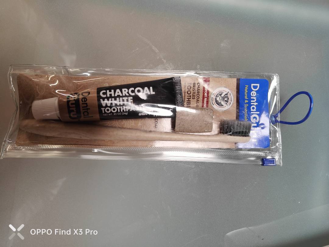dental guru — travel kit