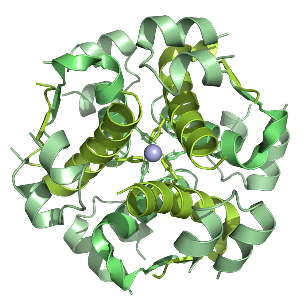 Insulin lispro Sanofi