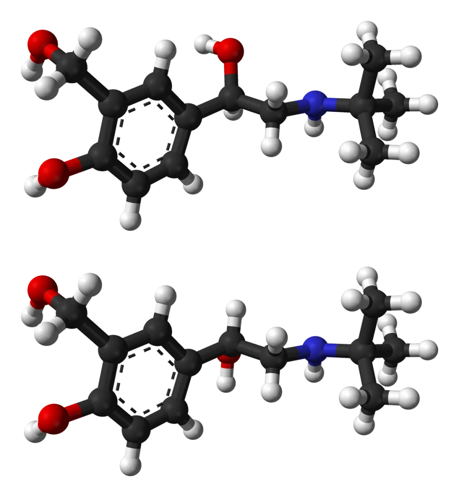 Salbutamol inhalation products