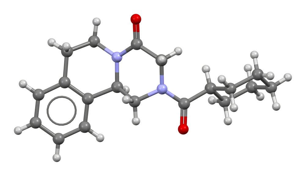 Biltricide