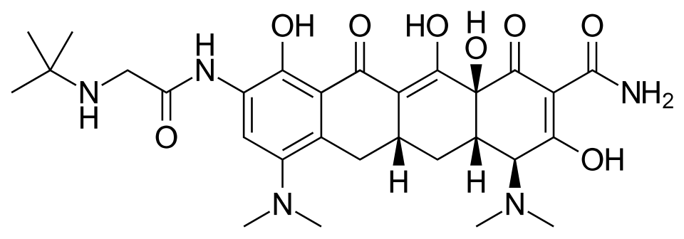 Tygacil
