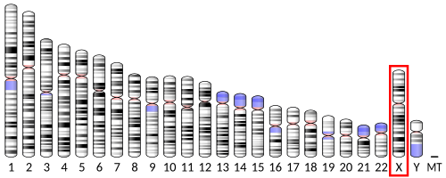 Fabrazyme