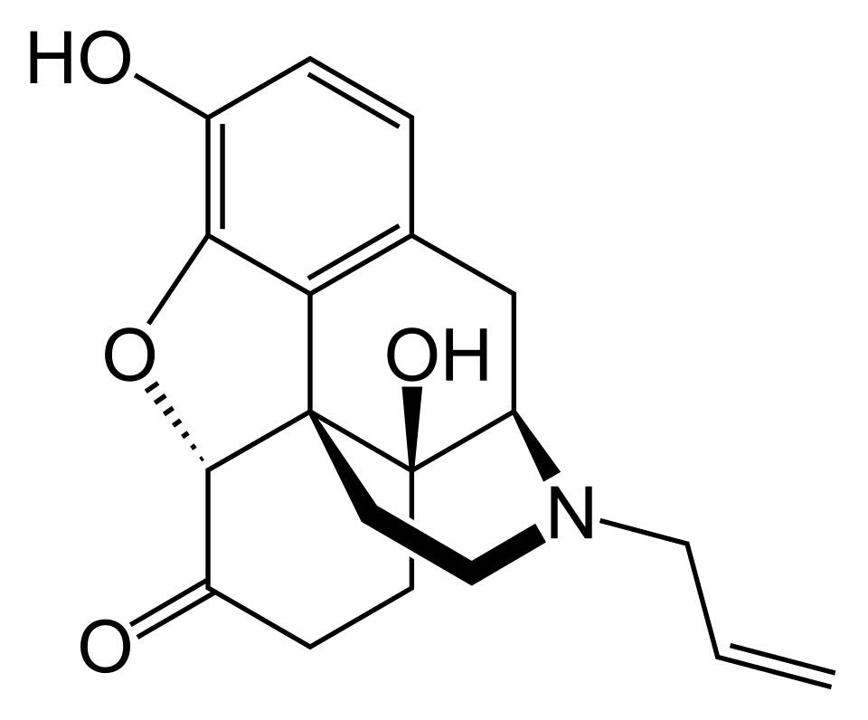 Naloxon Amomed 0,4 mg/ml Injektionslösung 0,4 mg/ml (Injektionslösung)