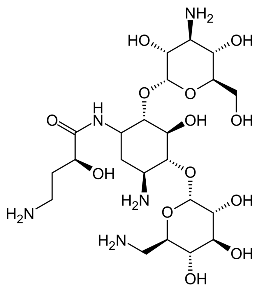 Amikacin B. Braun 5 mg/ml Infusionslösung 5 mg/ml (Infusionslösung)